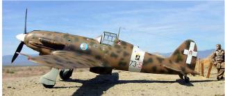 Macchi C202