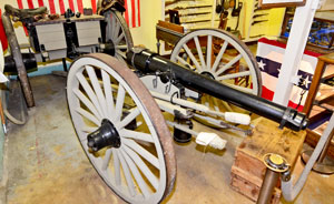 Parrot-rifle