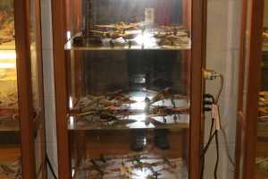 Models 2nd Cabinet located in  Model room